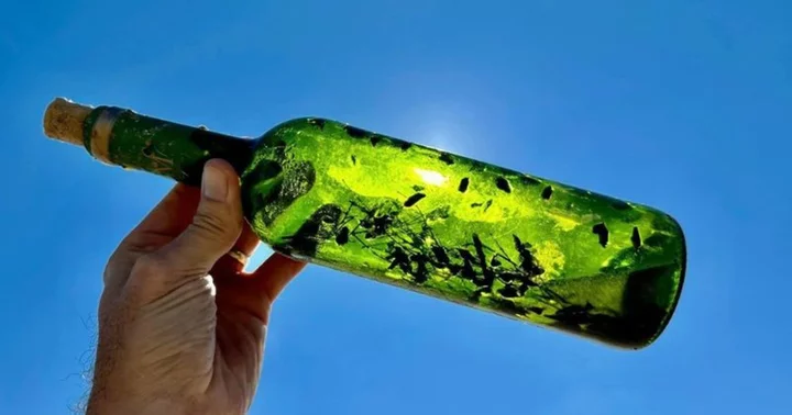What is a witch bottle? Mystery deepens as 8th one found near Corpus Christie