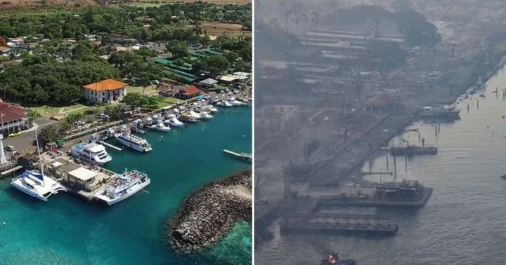 Hawaii Hell: Paradise in flames as residents rush into ocean to escape wildfire that has killed 6 people