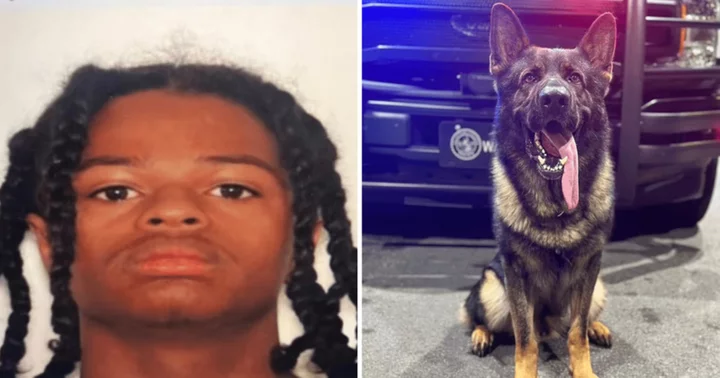 Stephon Ford: Georgia teenager shot dead by police after killing K-9 Waro and pointing gun at officers