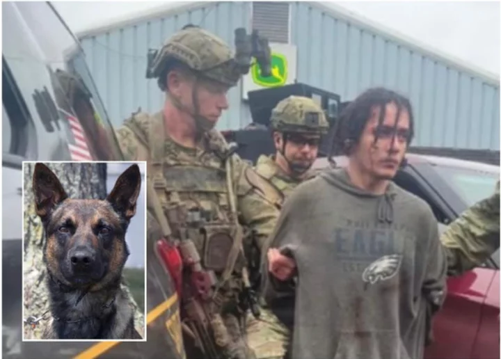 Danelo Cavalcante capture details emerge as Border Patrol dog Yoda credited with securing arrest: Live