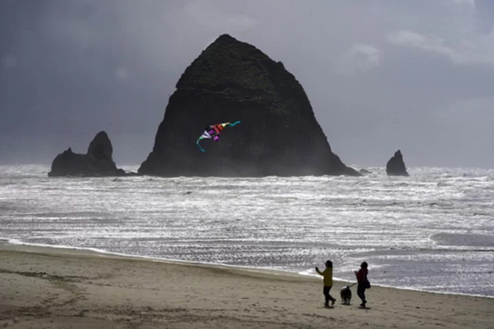 Oregon's Cannon Beach reopens after cougar sighting on iconic coastal rock led to closure