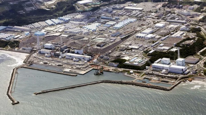 Fukushima: Discharge from Japan nuclear plant safe, tests show
