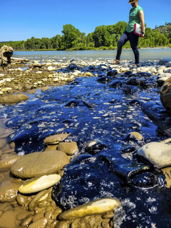 Cleanup begins after asphalt binder spill into Montana's Yellowstone River after train derailment