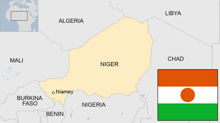 Niger country profile