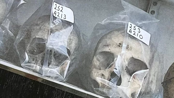 Relief as Irish island's stolen bones return for good