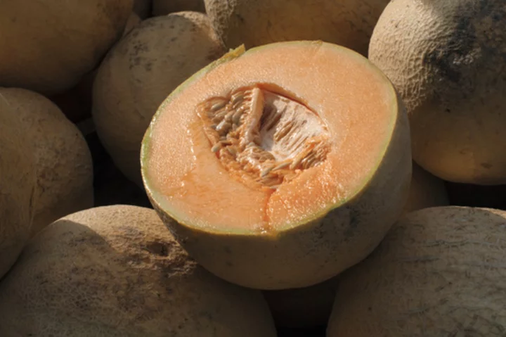 FDA expands cantaloupe recall after salmonella infections double in a week