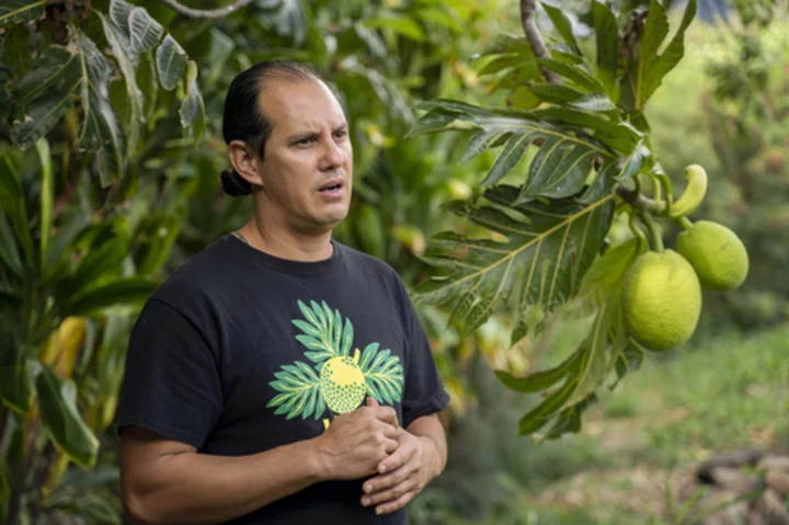 The trees arrived with Polynesian voyagers. After Maui wildfire, there's a chance to restore them