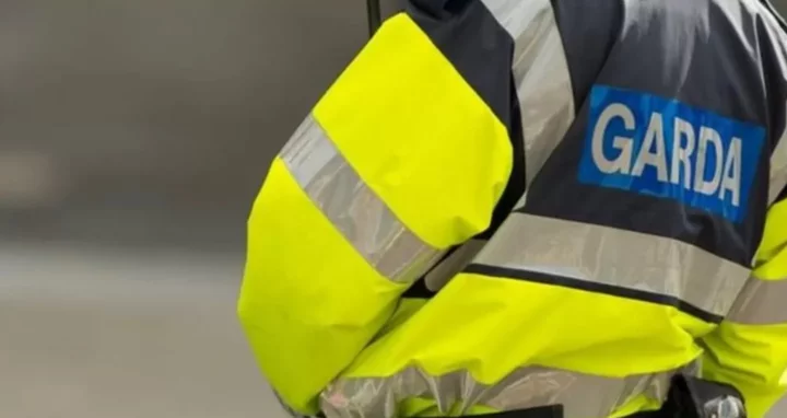 Woman dies after being hit by Garda patrol car