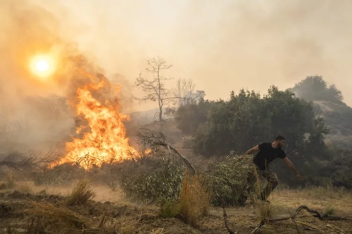 Greece's government is planning tougher penalties for arson following a spate of wildfires