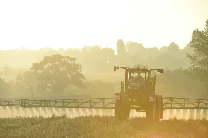 EU pushes 10-year renewal for controversial herbicide