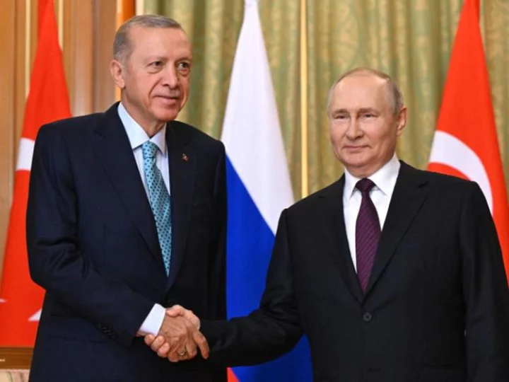 Putin and Erdogan meet to discuss grain deal amid 'shifting power balance'