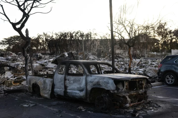 Hawaii fire death toll hits 99, may double, warns governor