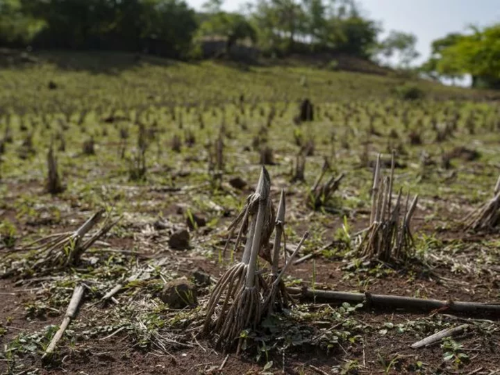 Climate event El Niño could hit the economy from food prices to clothing sales this year