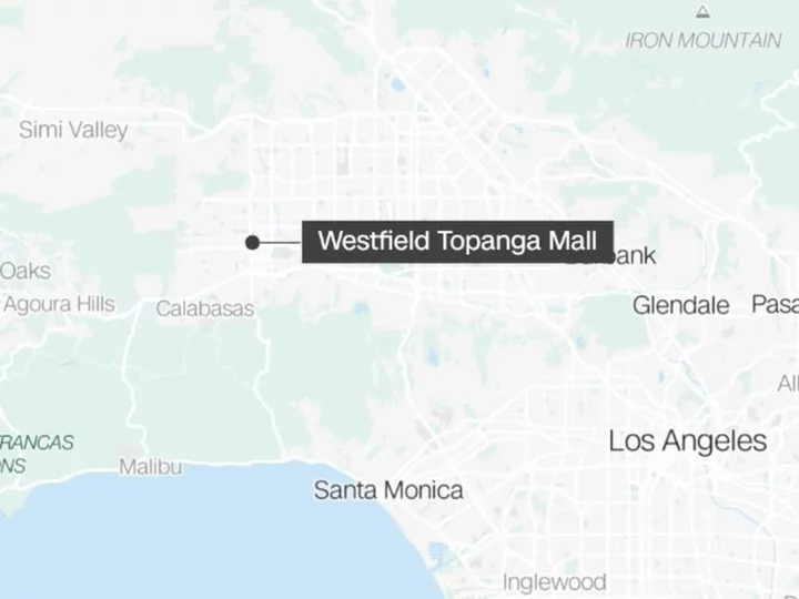 'Mob of criminals' stole up to $100k worth of merchandise at Los Angeles mall, police say
