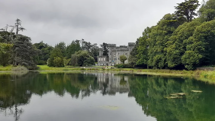 Secret room found in County Wexford Castle