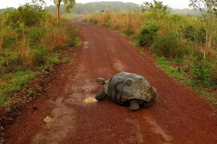 Ecuador seals record debt-for-nature swap with Galapagos bond