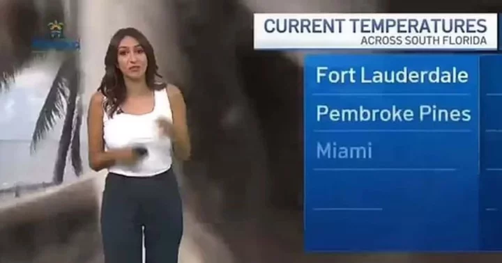 Who is Chelsea Ambriz? Florida meteorologist gets 'jump scare' on live TV after pigeon flies towards camera