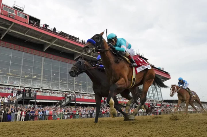 Bob Baffert's National Treasure wins Preakness, hours after another of his horses was euthanized