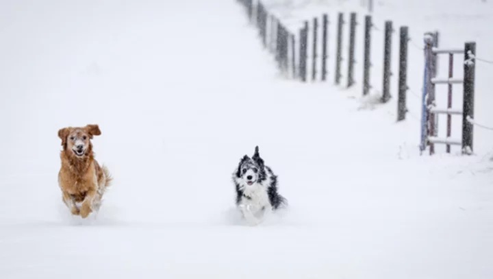 1st major storm of the season drops up to a foot of snow in Montana