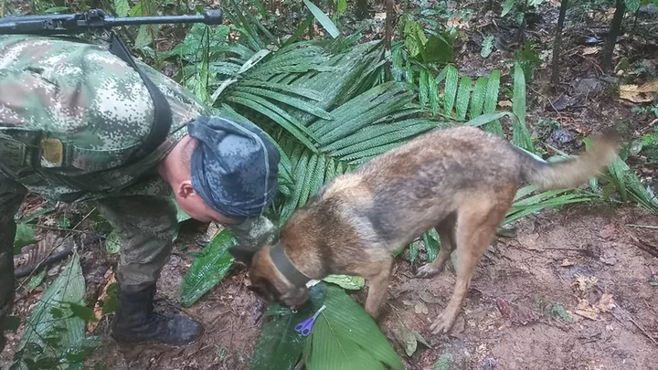 Confusion in Colombia over claim missing children found after Amazon crash