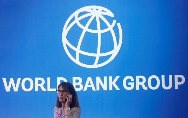 World Bank must drive private investment in climate transition - Banga