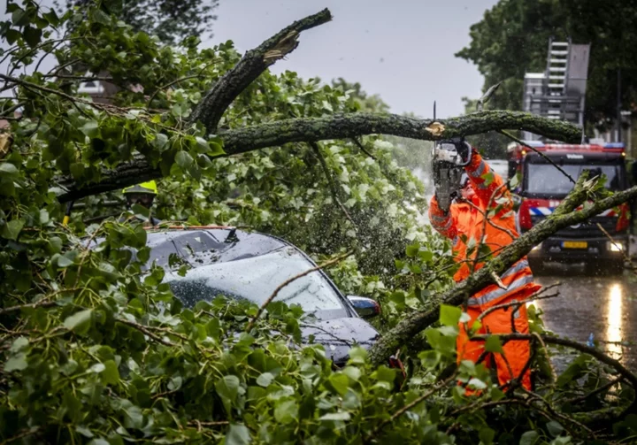 'Strongest' Dutch summer storm kills one, scrambles flights