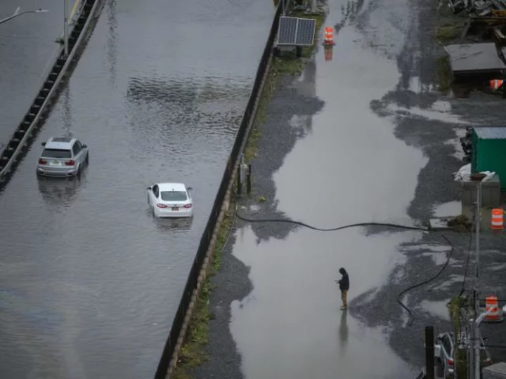 Sea lion escapes enclosure at Central Park Zoo due to New York flooding