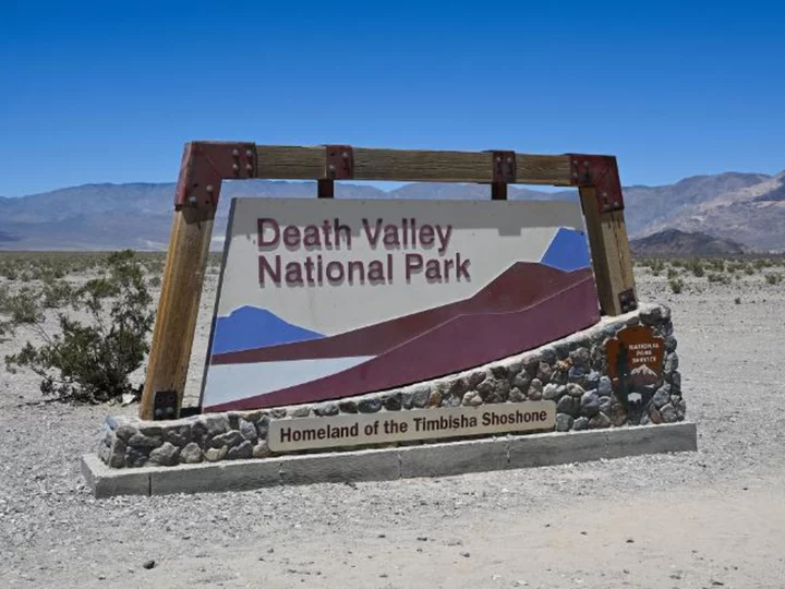 Five wild burros found shot to death in California's Death Valley National Park