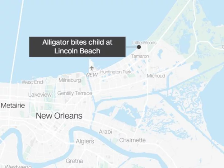 Alligator bites child at closed New Orleans-area beach, officials say