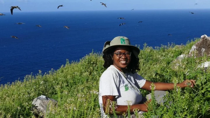 Redonda: Tiny Caribbean island’s transformation to wildlife haven