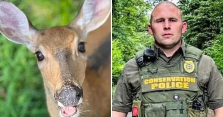 Annie the Deer: Lawrence residents outraged after beloved animal restrained and then shot and killed by cops