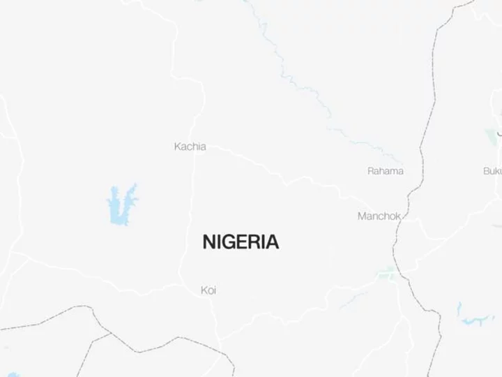 Nigeria gay wedding suspects freed on bail, lawyer says