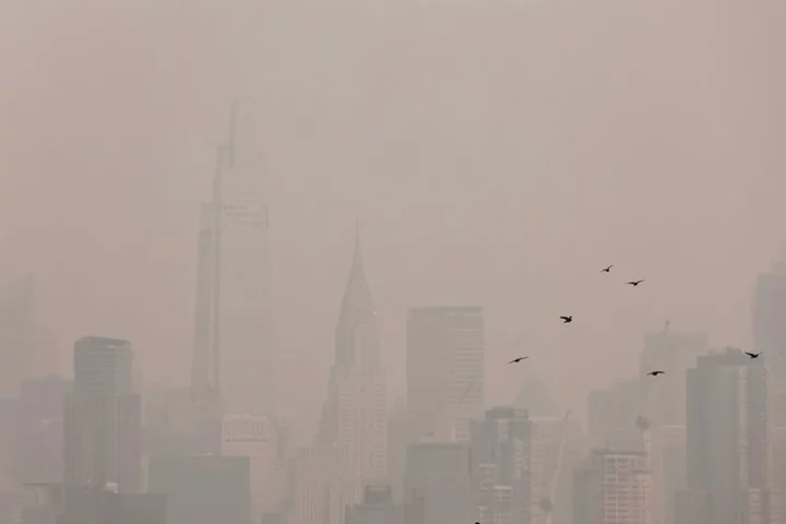 US states under air-quality alerts as Canadian smoke drifts south