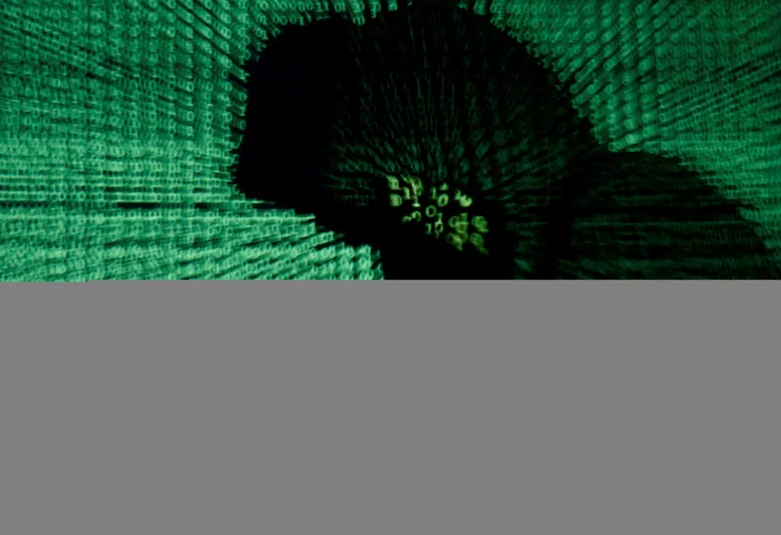 Polish police arrrest five in swoop on cyber crime site
