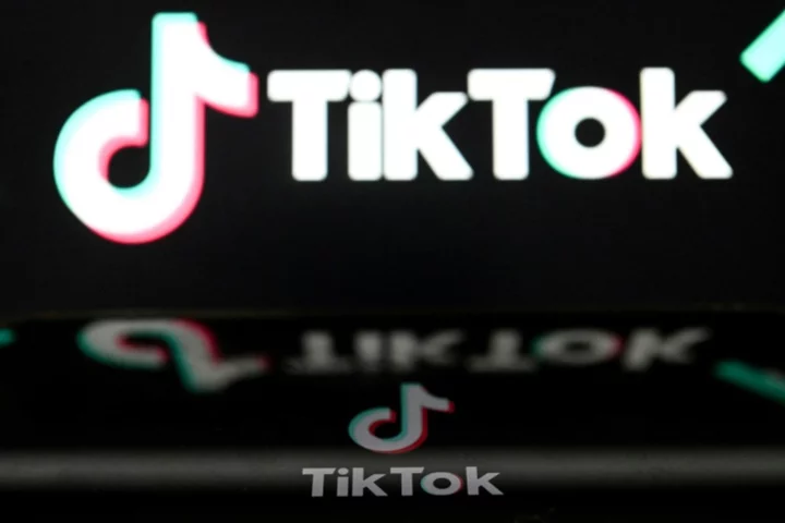 US judge halts pending TikTok ban in Montana