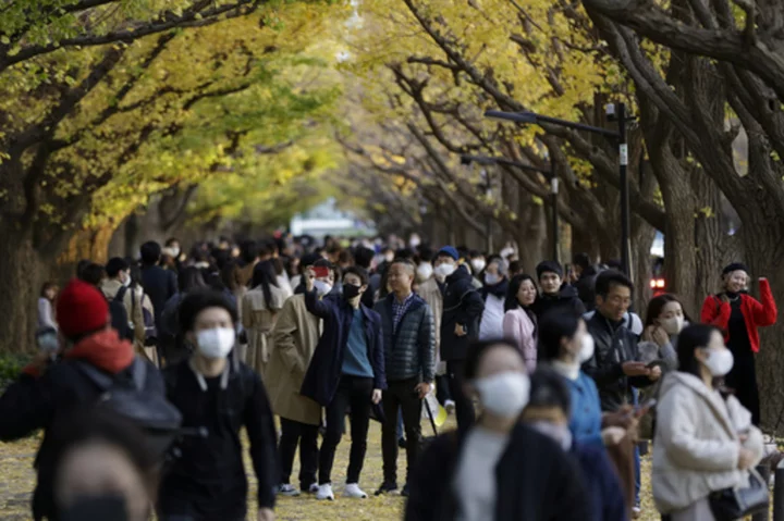 Tokyo's threatened Jingu Gaien park placed on 'Heritage Alert' list by conservancy body