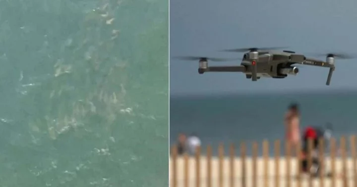 Summer of terror: Video footage shows 50-strong shiver of sharks stalking Long Island beaches