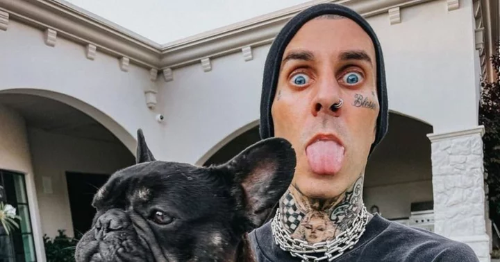 'What are we 5?' Internet shades Travis Barker as Blink-182 drummer debuts temporary tattoo brand Inkbox