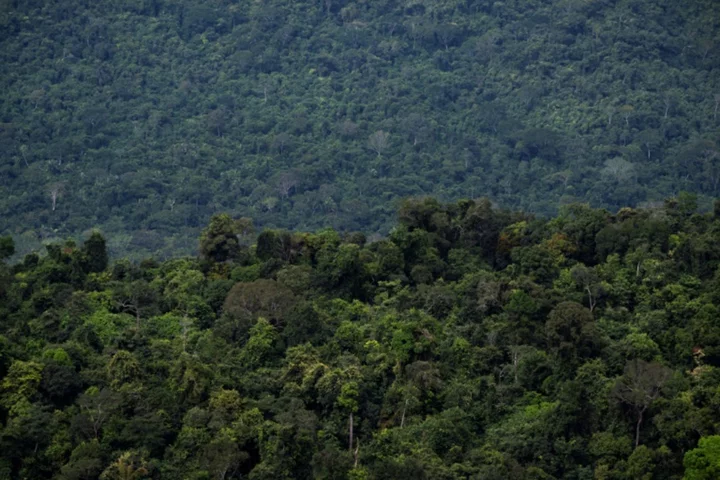 Brazil lawmakers vote to limit demarcation of Indigenous reserves