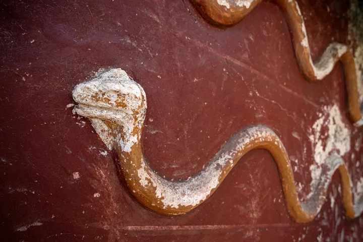 Kitchen shrine serpents and other fascinating new Pompeii discoveries