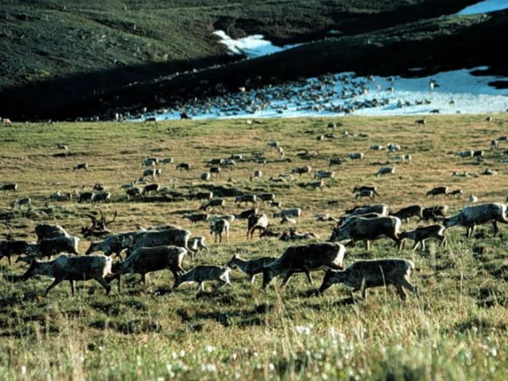 Biden administration cancels years-long attempt to drill in Alaska National Wildlife Refuge