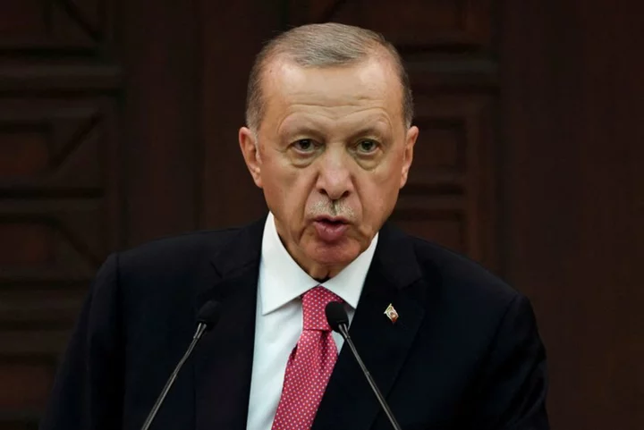 Turkey's Erdogan says Sweden's NATO steps undermined by protests