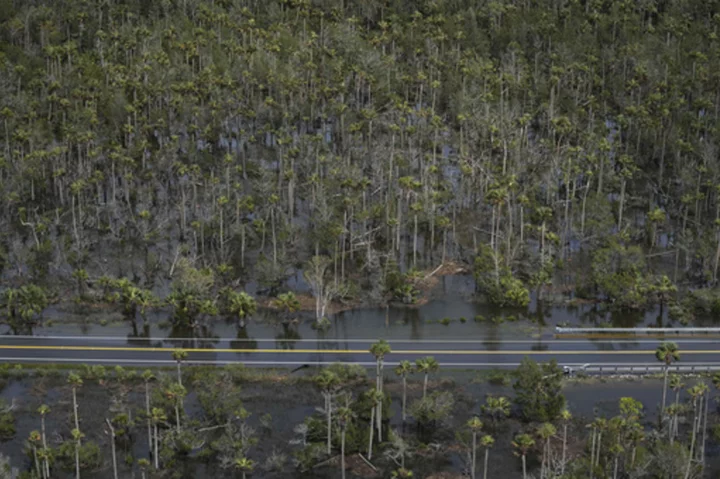 Florida agriculture losses between $78M and $371M from Hurricane Idalia, preliminary estimate says