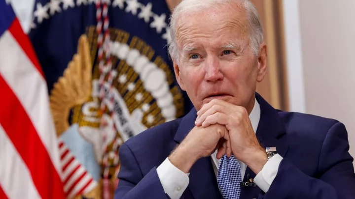 US presidential election 2024: Joe Biden's Democratic challengers