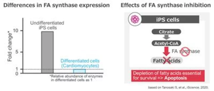 Heartseed Enters into induced Pluripotent Stem Cell Purification Patent License Agreement for Commercialization of Cell Therapy