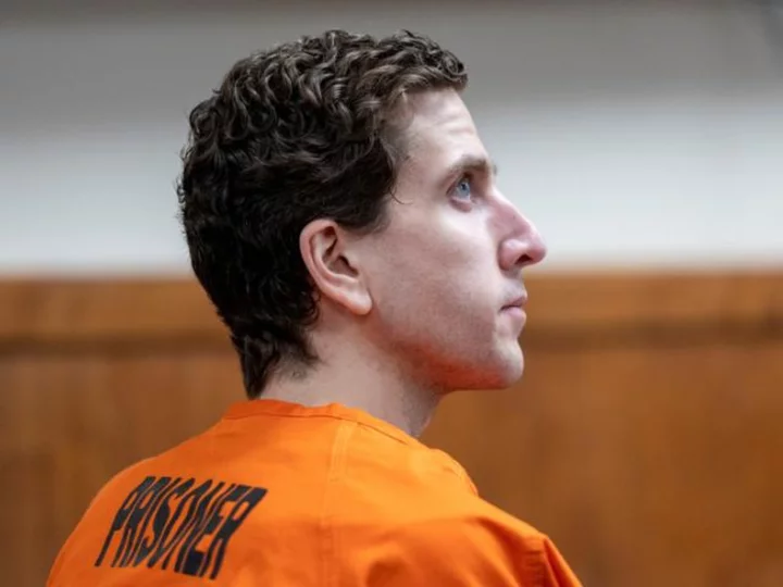 Here's why Idaho student murder suspect Brian Kohberger may have chosen to 'stand silent' in court, experts say