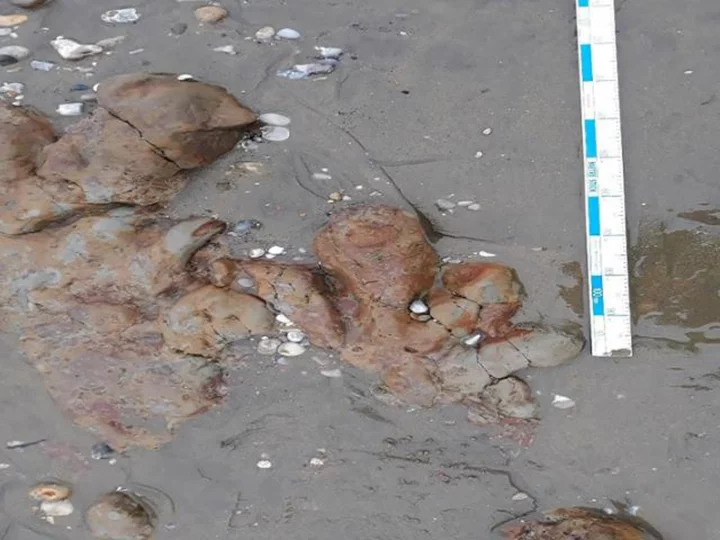 Dinosaur footprints uncovered on beach on England's Isle of Wight