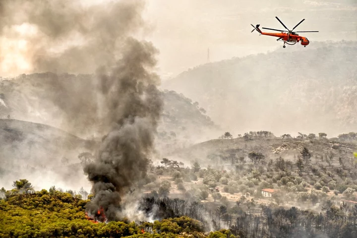 European heatwave - latest updates as red alerts and record temperatures continue