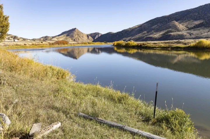 Rare otter attack injures three women floating on inner tubes on popular Montana river