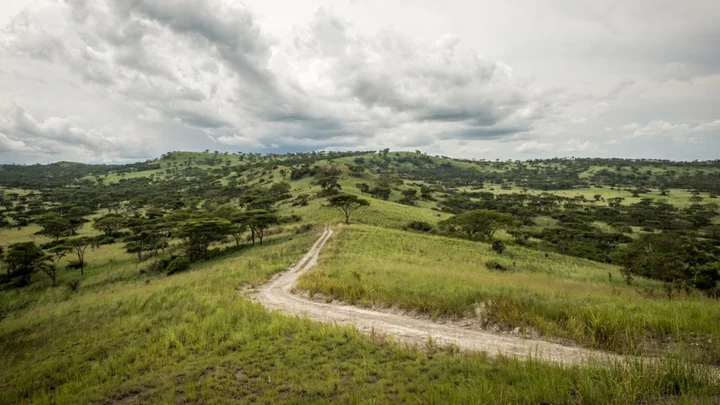 British tourist among three dead in Uganda Queen Elizabeth National Park attack